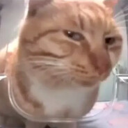 SheWantsRevenge
