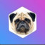 IamPug