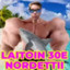 laitoin 30e nordnettii