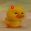 Nice Duck
