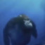 Aquatic Ape