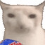 NOTMaksirius