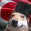 KÖPEKPAŞA