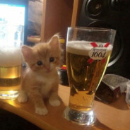 Andrei Ivanov (shelbywalk)