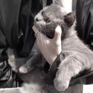 尘缘袅袅丨百川