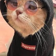 ! CÂT ₳Ɏ₳₮𝑶