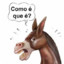 Vai de Jegue !