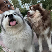 一大坨可乐和雪碧