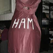 Ham with teh plan