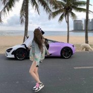 阑珊处鹤珊