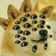 (￣⊿￣")