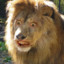 bazhu