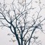 荡漾