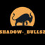 ShadoW-_BuLLsZ
