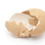 eggshell