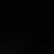 𝑺𝑽𝑰𝑷  donk