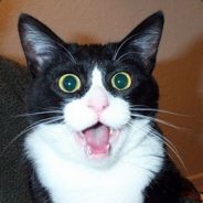 thatawesomedudeoverthere