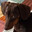 Zeek