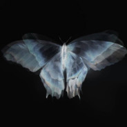 操你妈手柄操你妈外挂