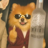 Pupsick