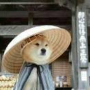不用解