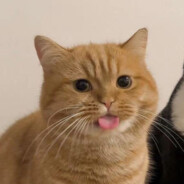 吃饱喝饱一路走好eh