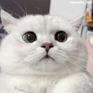 不盼天晴只盼雾