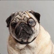 Pug