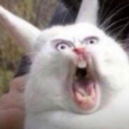 我叫艾许，梦想是成为姓艾的高手