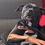 If you grab me , Imma Bite you