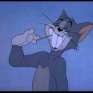 伯乐速递-好马直寄