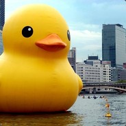 BigDucky