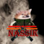 NAssIK