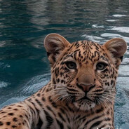 Arsen - steam id 76561199276596607