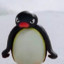 pingu