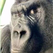 Stun's Avatar