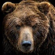 Crazee Bear 73