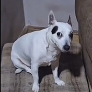 Y A I K S
