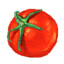 pomidorka