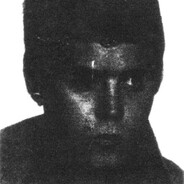 донецкий берсерк