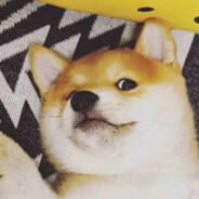 此生必睡井川里予