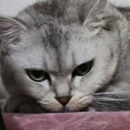 明天状态会好一些