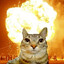 Catzilla Nuke