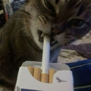 :̶.̸͑.̷͊.̶̄.̵̒.̶͒.̸