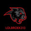 Lolbroek313