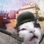 сhpek