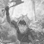 The Pinnacle of Larp