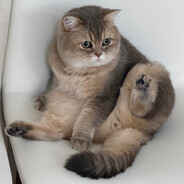 Nikola Kovač - steam id 76561198150972896