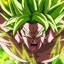 broly.