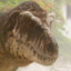 a Tyrannosaurus rex